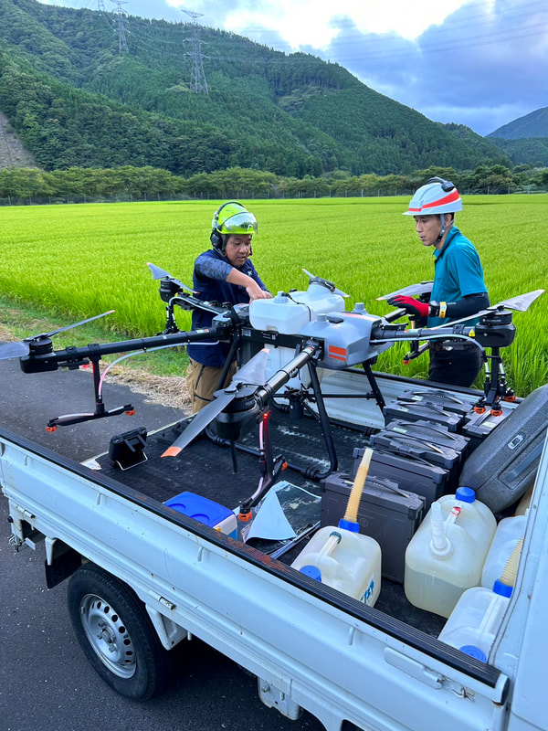 鮎河にてカメムシ防除 写真